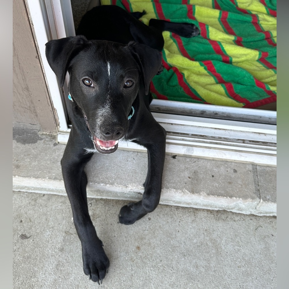 Meet your Posher, Ana - Picture 13 of 16